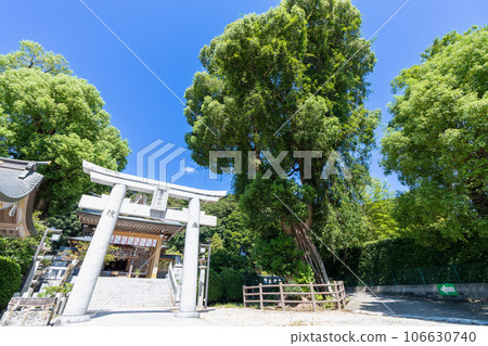 [Fukuoka Prefecture] Kasuga Shrine 106630740