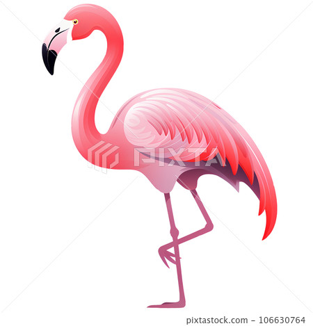 Vector Illustration Of A Cartoon Flamingo With Sunglasses Royalty Free SVG,  Cliparts, Vectors, and Stock Illustration. Image 80910838.