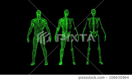 3D man Anatomy on black background. Medical and Scientific concept. Anatomy of the male body. Business advertising backdrop. For title, text, presentation. 3d animation. 106630964