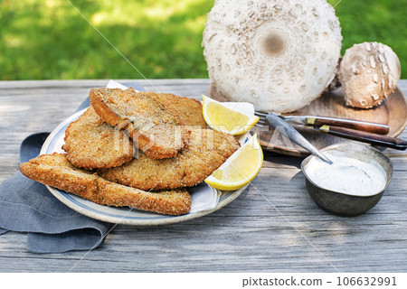 Macrolepiota procera fried meal 106632991