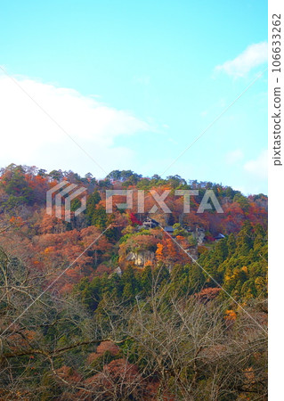 Tateishi Temple Yamadera Autumn Leaves Yellow Leaves 106633262