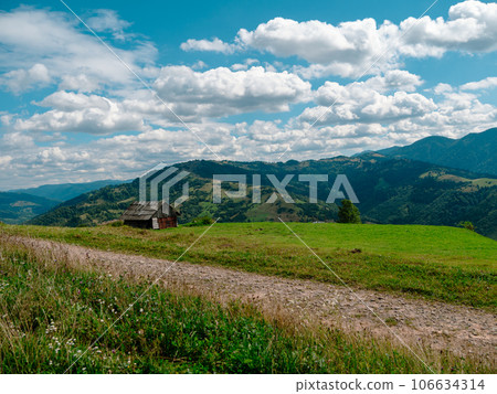 Old authentic wood house Carpathian mountains Ukraine, Europe. Local countryside travel hiking forest trails Cottagecore 106634314