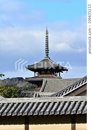 從法隆寺出發 106635215