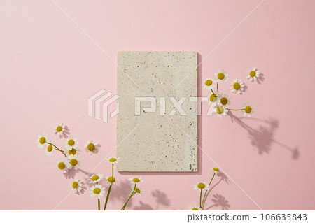 Blank pink background with gray brick podium decorated and fresh chamomilla flowers for cosmetic presentation. Chamomilla has a great effect in regulating the amount of oil on the skin Blank pink background with gray brick podium decorated and fresh chamomilla flowers for cosmetic presentation. Chamomilla has a great effect in regulating the amount of oil on the skin 106635843