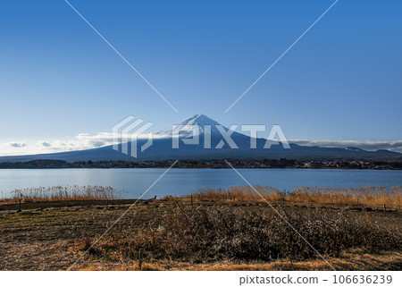 Mt. Fuji seen from the bank of Kawaguchiko Mt. Fuji seen from the bank of Kawaguchiko 106636239