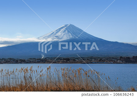 從河口湖的銀行看到的富士山 從河口湖的銀行看到的富士山 106636243