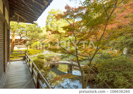 Autumn foliage at Shoren-in Temple Famous spot for autumn foliage in Kyoto Autumn tourist attractions in Kyoto Ryushin Pond and maple leaves Autumn foliage and Soami Garden Strolling garden Autumn foliage at Shoren-in Temple Famous spot for autumn foliage in Kyoto Autumn tourist attractions in Kyoto Ryushin Pond and maple leaves Autumn foliage and Soami Garden Strolling garden 106636260