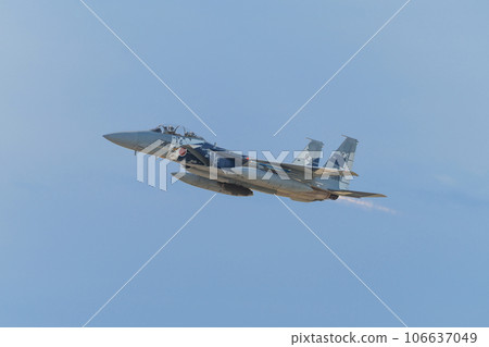 Air Self-Defense Force Flight Instruction Group F-15DJ Eagle Ascent Air Self-Defense Force Flight Instruction Group F-15DJ Eagle Ascent 106637049
