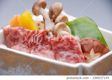 Marbled Japanese beef 106637145