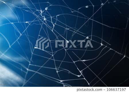 Halloween spider web, blue night background with cobwebs. Halloween spider web, blue night background with cobwebs. 106637197
