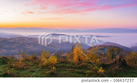 misty autumn sunrise in mountains. scenery with colorful trees on the hills in morning light. landscape rolling in to the distant valley full of fog 106637237