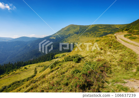 green mountain ridge in summer. steep forested slopes and grassy hillsides. country road uphill. bright sunny weather 106637239