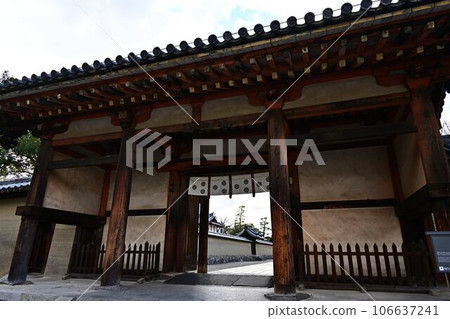 From Horyuji Temple From Horyuji Temple 106637241