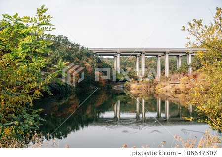 Gijang Sara Waterside Park autumn scenery in Busan, Korea 106637307