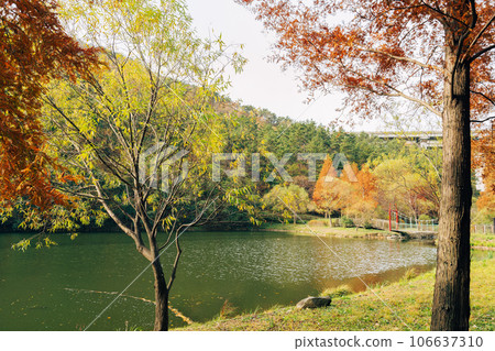 Gijang Yongso Well-being Park autumn scenery in Busan, Korea Gijang Yongso Well-being Park autumn scenery in Busan, Korea 106637310