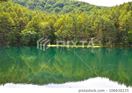 Summer Mishaka Pond 106638235