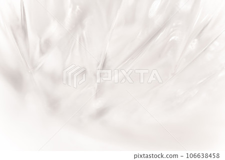 Light and shadow background material Light and shadow background material 106638458