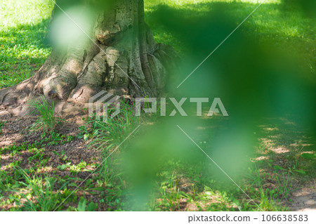 Oki/Anshin image Oki/Anshin image 106638583