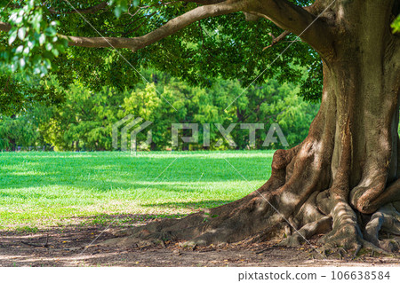 Oki/Anshin image 106638584