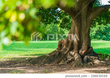 Oki/Anshin image Oki/Anshin image 106638589