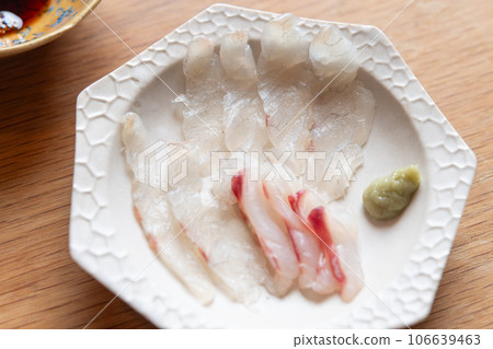 黑鯛魚 黑鯛魚 106639463