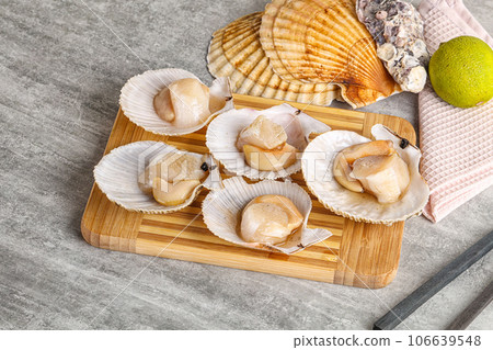 Raw natural scallop in its shell 106639548