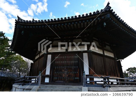 From Horyuji Temple From Horyuji Temple 106639790
