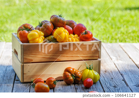 Assorted tomatoes in rustic crate 106641127