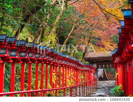 Kifune Shrine in Kyoto in autumn 106641430