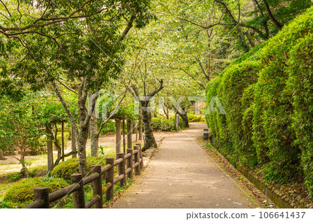 Utsubuki Park, Kurayoshi City, Tottori Prefecture, Summer 106641437