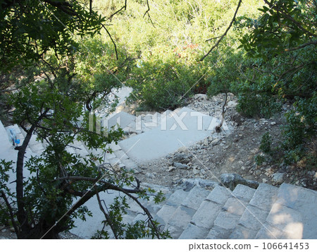Stone steps leading down into the depths of a dense, magical evergreen forest. Stone steps leading down into the depths of a dense, magical evergreen forest. 106641453