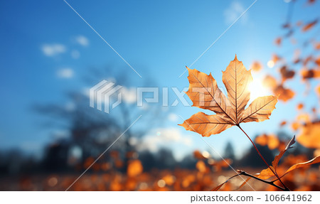 Falling autumn leaves in colorful sky.Beautiful autumn landscape with yellow trees and sun. Colorful foliage in the park. Falling leaves natural background .Autumn season concept copy space 106641962