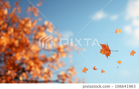 Falling autumn leaves in colorful sky.Beautiful autumn landscape with yellow trees and sun. Colorful foliage in the park. Falling leaves natural background .Autumn season concept copy space Falling autumn leaves in colorful sky.Beautiful autumn landscape with yellow trees and sun. Colorful foliage in the park. Falling leaves natural background .Autumn season concept copy space 106641963