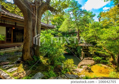 Ishikawa Prefecture, Kanazawa City, Nagamachi Samurai Residence Ruins, Nomura House Ishikawa Prefecture, Kanazawa City, Nagamachi Samurai Residence Ruins, Nomura House 106642705