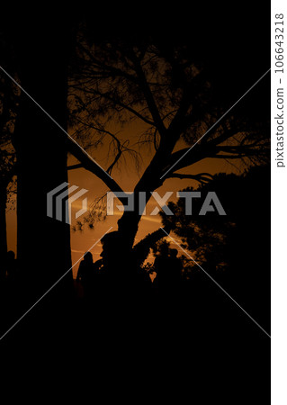 Sunset. Colorful sunset with the silhouettes of trees and people at the colorful sunset in a park in Madrid. Spain. Photography. Sunset. Colorful sunset with the silhouettes of trees and people at the colorful sunset in a park in Madrid. Spain. Photography. 106643218