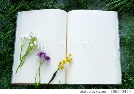 Cute mimosa, small chrysanthemum, and white flowers placed on top of a double-page book 106643404