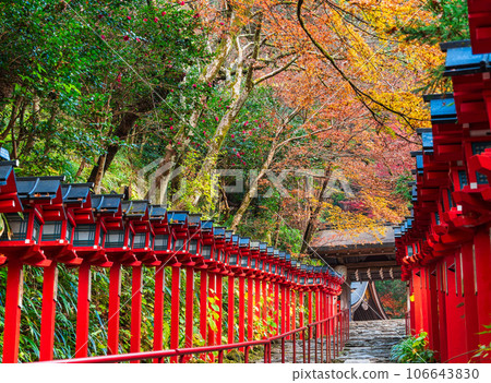 Kifune Shrine in Kyoto in autumn 106643830