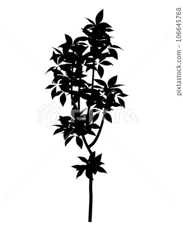 Young tree illustration_silhouette Young tree illustration_silhouette 106645768