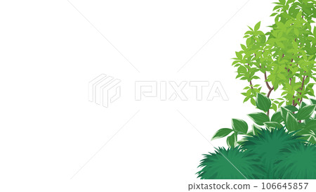 Japanese-style planter frame_16:9 106645857