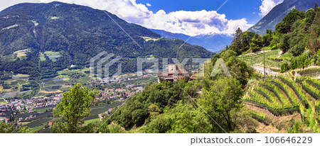 picturesque Italian scenery.  Merano town and his castels. surrounded by Alps mountains and vineyards. Bolzano province, Italy 106646229