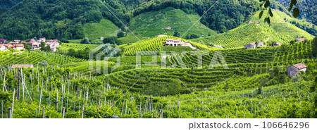 famous wine region in Treviso, Italy.  Valdobbiadene  hills and vineyards on the famous prosecco wine route and scenic villages 106646296