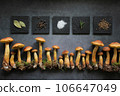 Aureoboletus projectellus mushrooms with spices on dark background. Menu concept. Flat lay, close up, copy space. 106647049