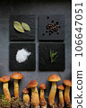 Aureoboletus projectellus mushrooms with spices on dark background. Menu concept. Flat lay, close up, copy space. 106647051