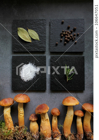 Aureoboletus projectellus mushrooms with spices on dark background. Menu concept. Flat lay, close up, copy space. 106647051