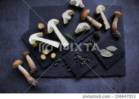 Aureoboletus projectellus mushrooms with spices on dark background. Menu concept. Flat lay, close up, copy space. 106647053