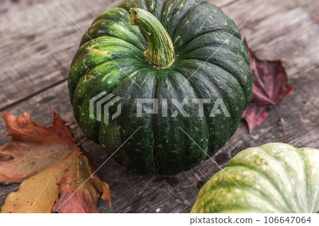 Autumnal Background. Natural autumn fall view pumpkins on wooden background. Inspirational october or september wallpaper. Change of seasons ripe organic food concept. Halloween party Thanksgiving day 106647064