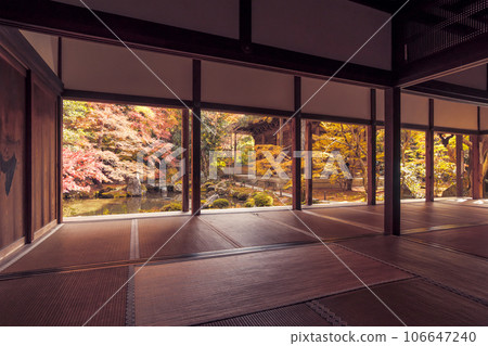 蓮華寺的紅葉風景 從和室看到的紅葉 京都的紅葉名勝 日本庭園和楓樹 京都的紅葉秋季旅遊景點 106647240