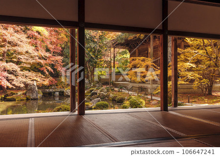 Autumn foliage scenery at Rengeji Temple Autumn foliage seen from a Japanese-style room A famous spot for autumn foliage in Kyoto Japanese gardens and maple trees Autumn tourist spots in Kyoto Autumn foliage scenery at Rengeji Temple Autumn foliage seen from a Japanese-style room A famous spot for autumn foliage in Kyoto Japanese gardens and maple trees Autumn tourist spots in Kyoto 106647241