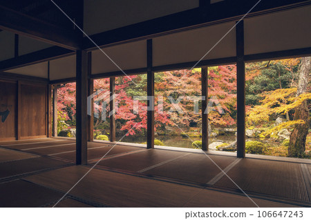 Autumn foliage scenery at Rengeji Temple Autumn foliage seen from a Japanese-style room A famous spot for autumn foliage in Kyoto Japanese gardens and maple trees Autumn tourist spots in Kyoto 106647243