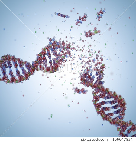 Molecular structure of DNA. 3D rendering. 106647834